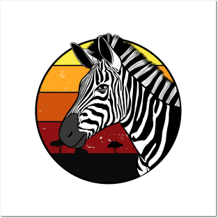 Zebra Posters and Art